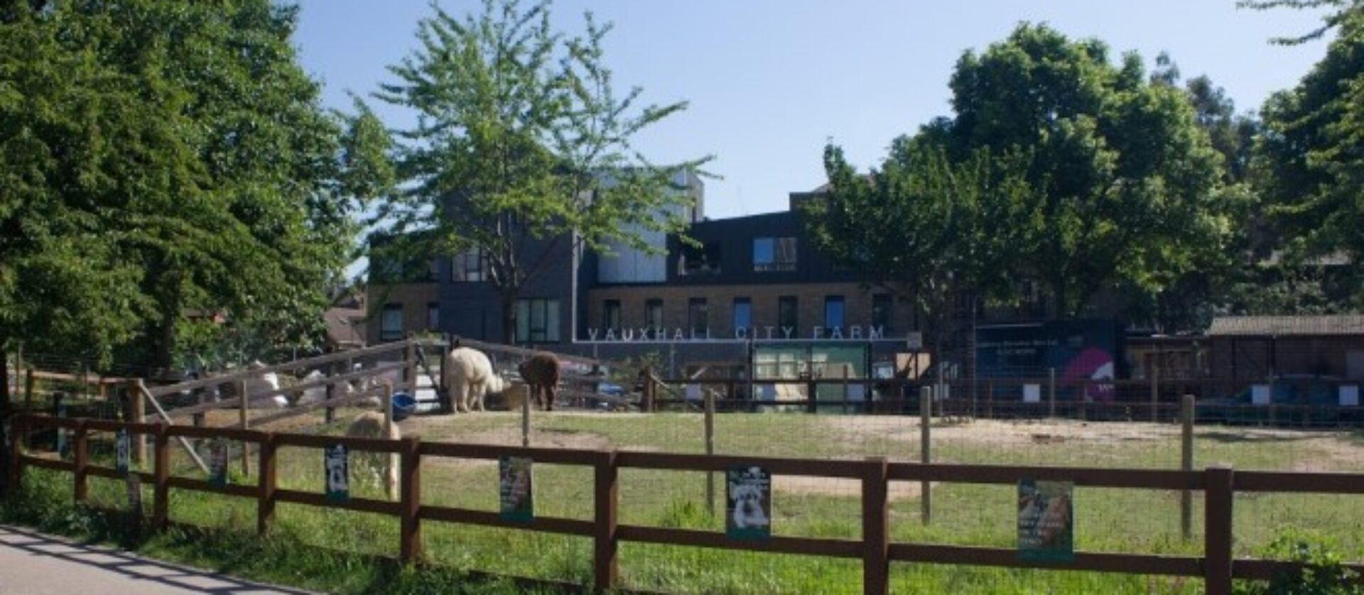 Vauxhall City Farm