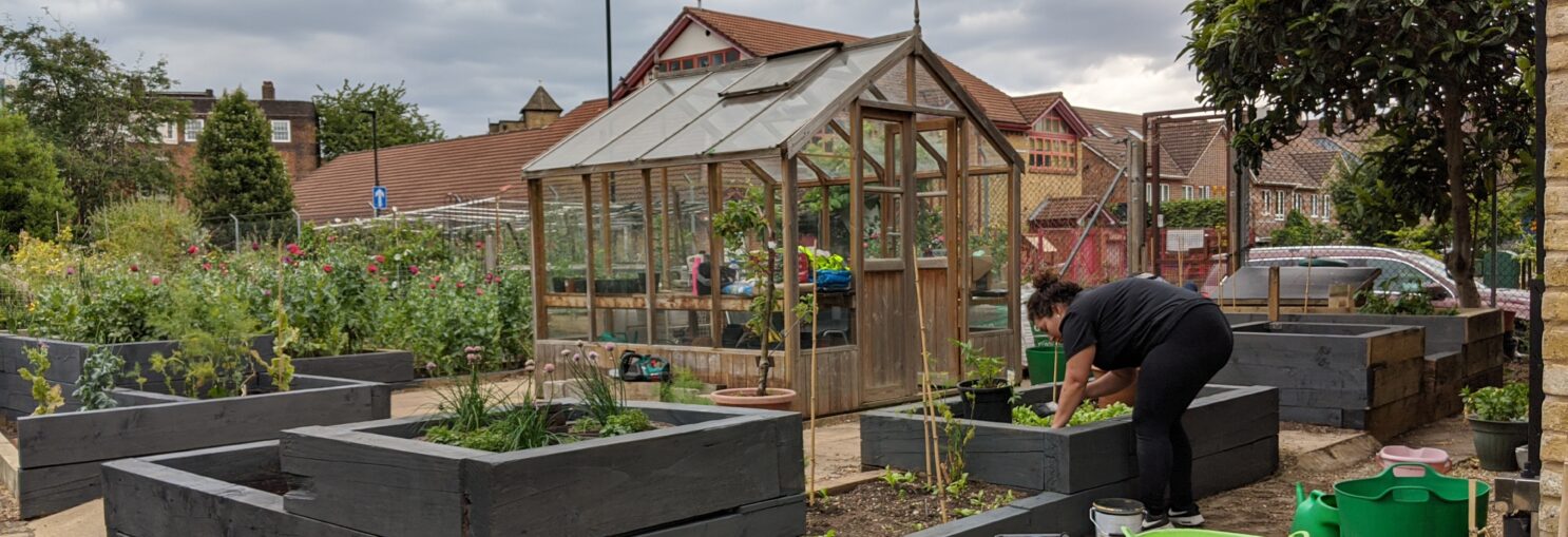 community garden with green house in center