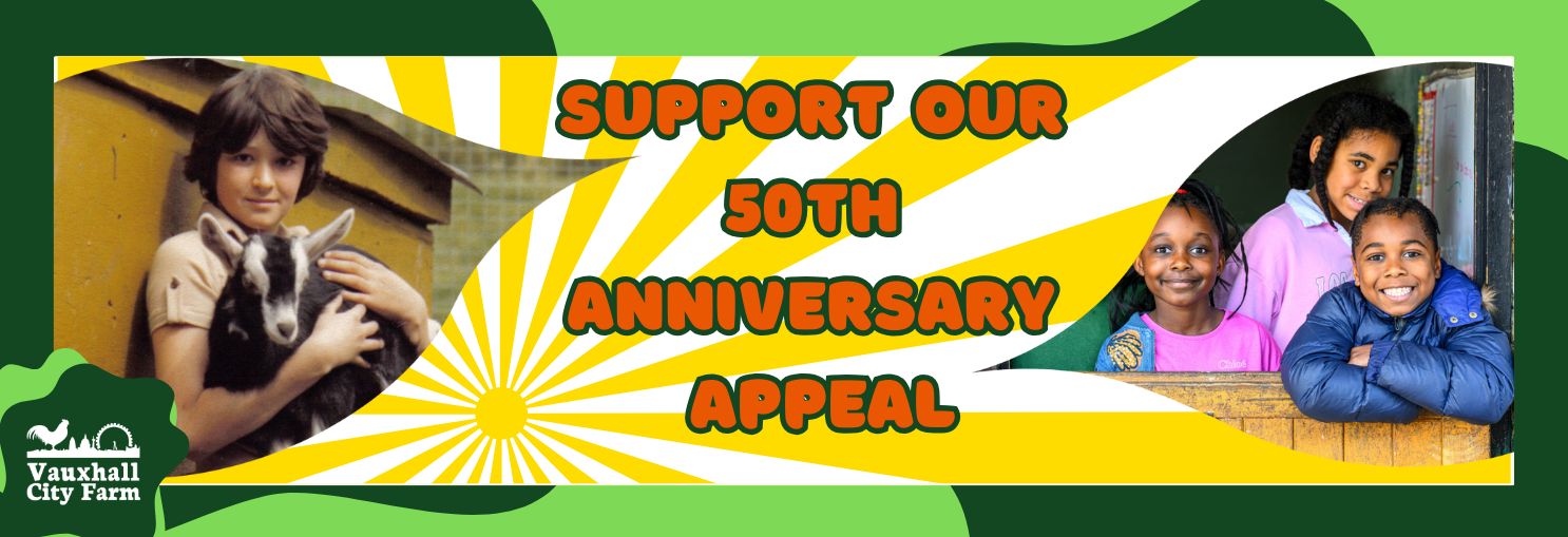 VCF 50th Anniversary Appeal